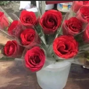BUNGA MAWAR MERAH /1 tangkai
