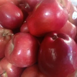 apel merah 1kg