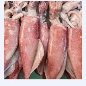 Cumi besar 1kg