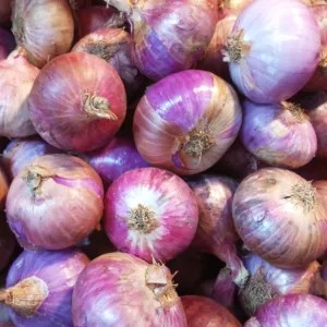 Bawang merah India 1 kg