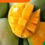 Buah mangga potong dadu 500g