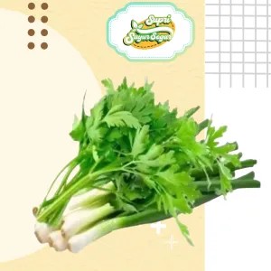DAUN BAWANG SELEDRI