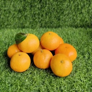 JERUK SANTANG BIRMA 1kg