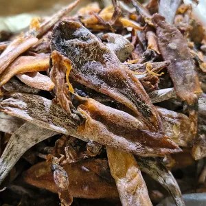 Cumi tawar kering 100 gr