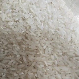 Beras Pulen Indramayu 1kg 1kg