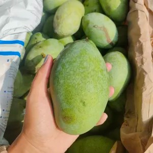 Mangga manalagi 1kg