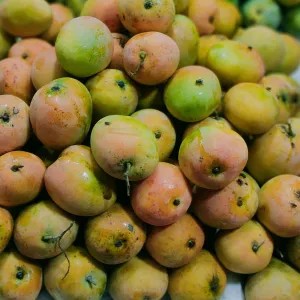 Mangga Gedong Gincu 1 Kg