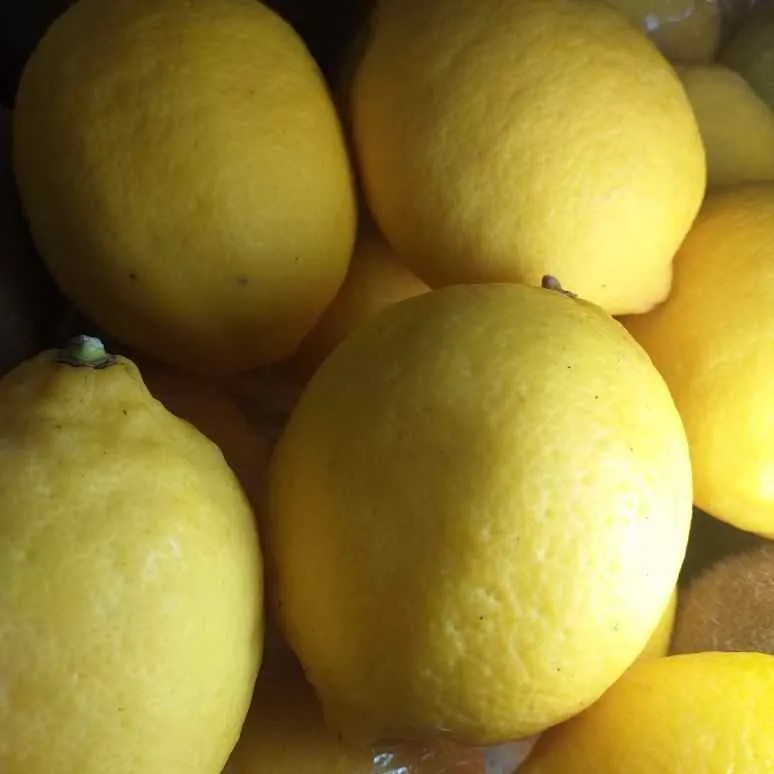 Buah Lemon 1Kg