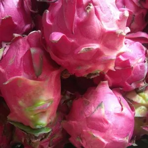 Buah Naga 1kg