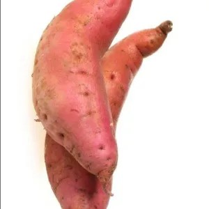 ketela rambat per pack