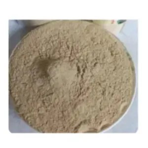 Bubuk Gingseng India