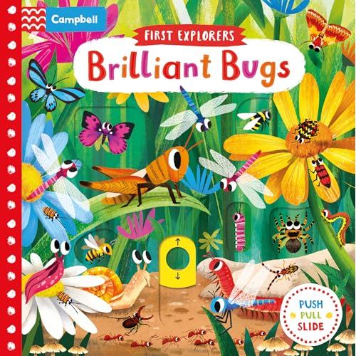 Children Book - First Stories Briliant Bugs - 9781509855131