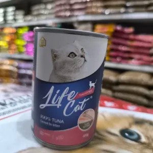 life cat kitten tuna kaleng