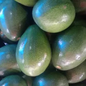 alpukat Miki(mentega) 1kg