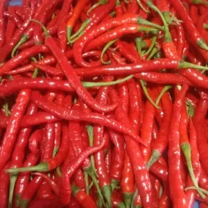 Cabe Keriting Merah 1kg