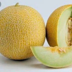 buah melon satu biji