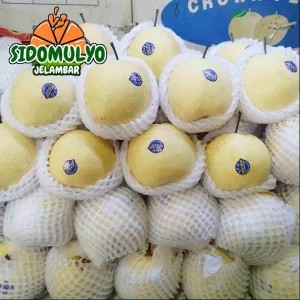 Buah Pir Madu Sweet Pear Fresh
