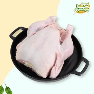 AYAM BROILER BESAR 1 EKOR