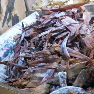 Cumi tawar kering 100 gram