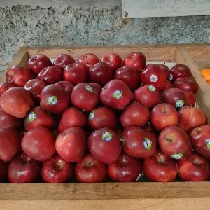 Apel merah 1kg