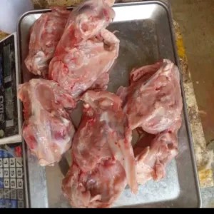 kerongkongan / balungan ayam 1kg