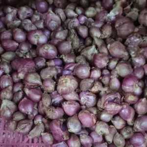 BAWANG MERAH 1kg 1000g