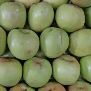 Apel Manalagi Malang 1kg