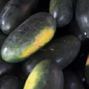 Buah semangka inul,fresh / segar 1.5kg
