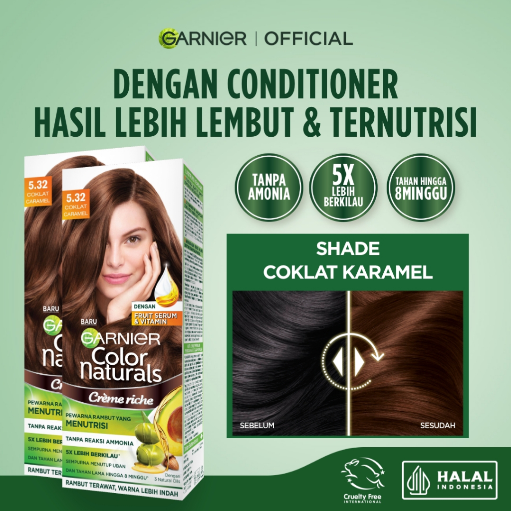 [SEMUA WARNA] GARNIER Hair Colour ISI 2 Big Kit 105ml Pewarna Rambut Permanen Cat Rambut Tanpa Amoni