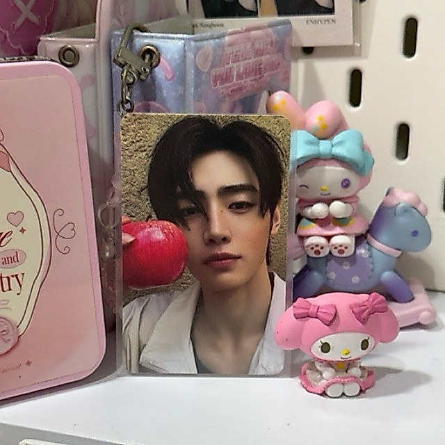 pc enhypen sunghoon fugitive ver apple apel the sin vanish tsv official photocard