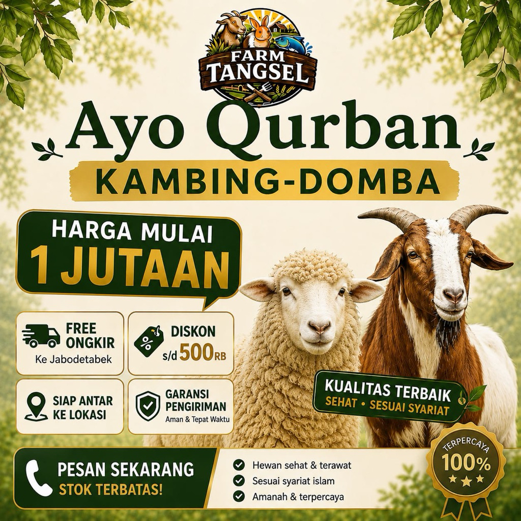 kambing domba hidup aqiqah qurban KIRIM HIDUP BUKAN TEBAR QURBAN