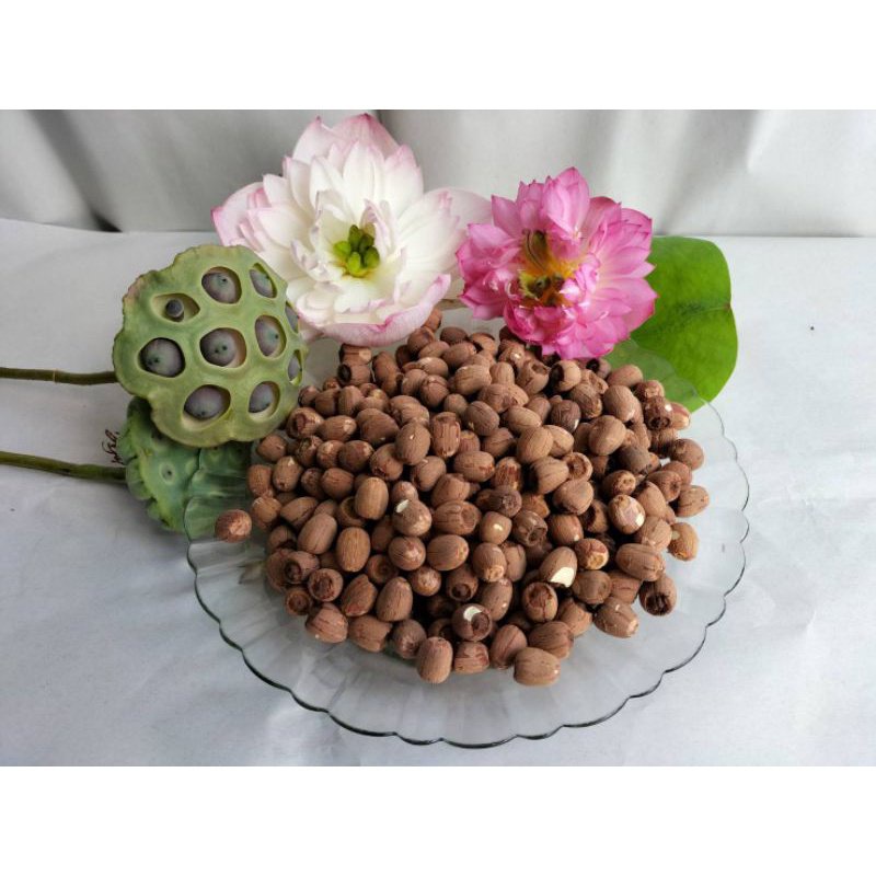 

Biji teratai kering, biji teratai kering, biji teratai kering, kupas, tidak dipoles, kulit memiliki