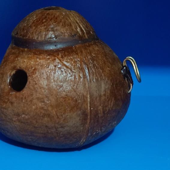 Glodok batok kelapa sarang tempat tidur lovebird