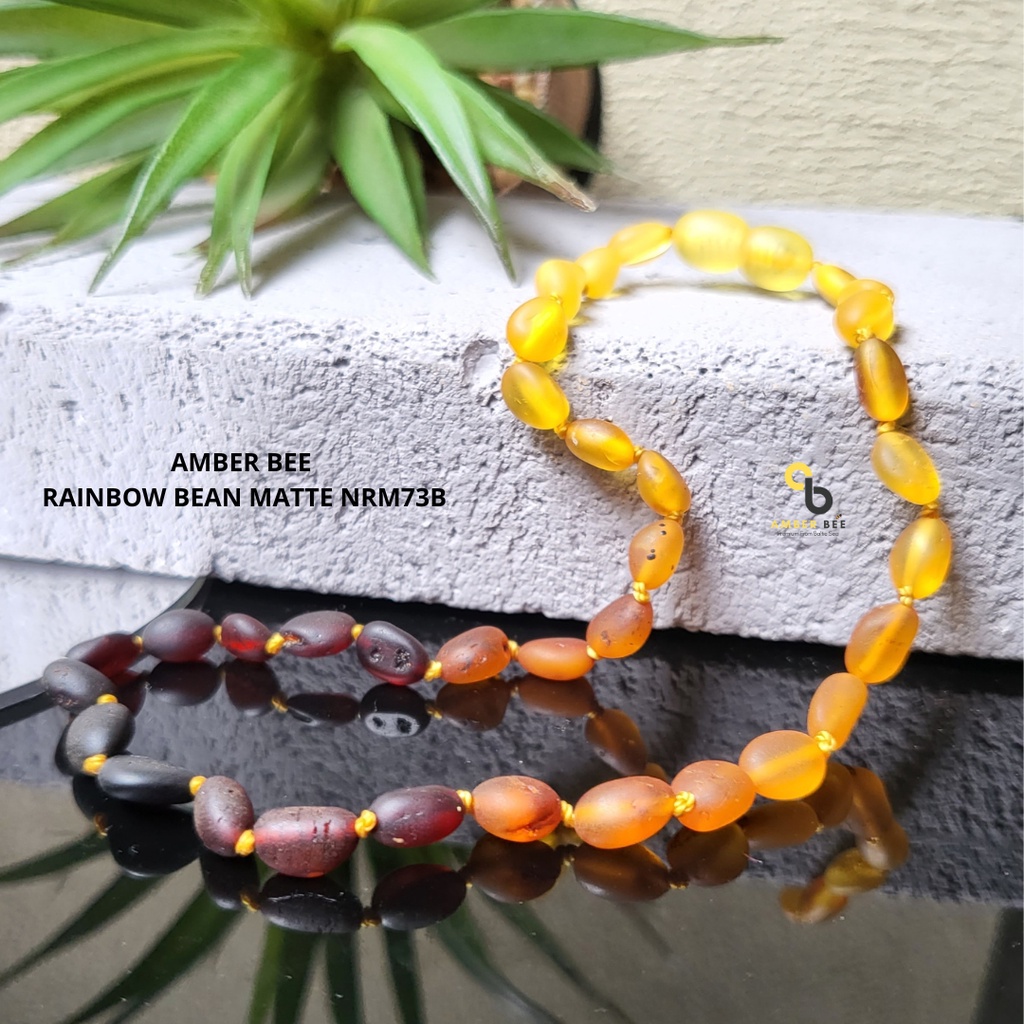 Kalung Amber Bayi Tumbuh Gigi ORI Baltic Premium Matte Rainbow Beans NGRB73B By Amber Bee