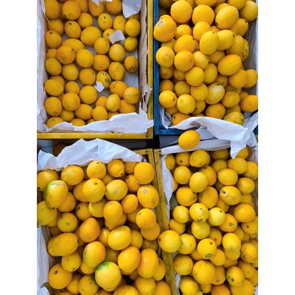 

Lemon California Lokal Fresh 1Kg by EmmaFreshLemon