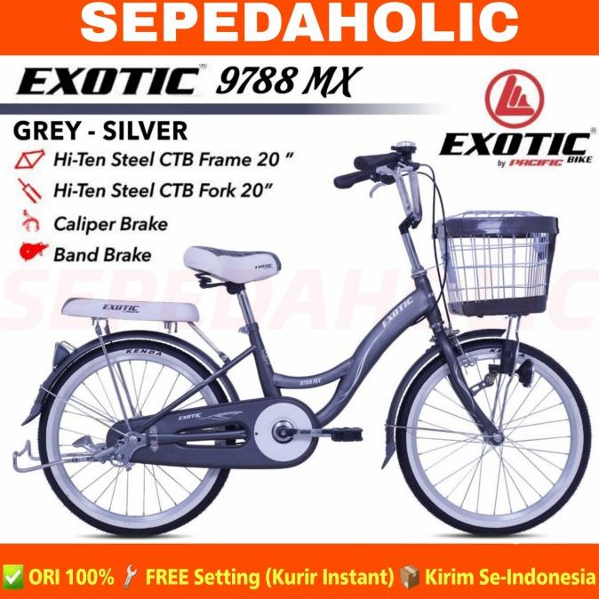 Sepeda Keranjang Dewasa Perempuan Exotic Et 9788 Mx 20 Inch