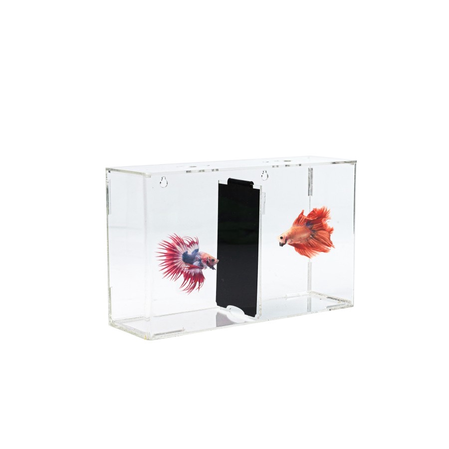 AKUARIUM / AQUARIUM / SOLITER IKAN CUPANG 2 KAMAR AKUARIUM CERMIN