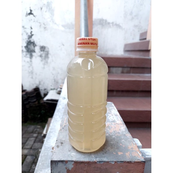 PROBIOTIK B17 250ml,Ori Prof Sukardi.