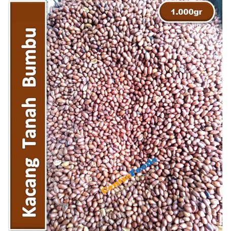 

Kacang Tanah Goreng - Bumbu Gilling | 1.000gr [ Harga Per KG ]