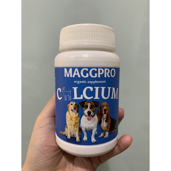 maggpro calcium anjing dog