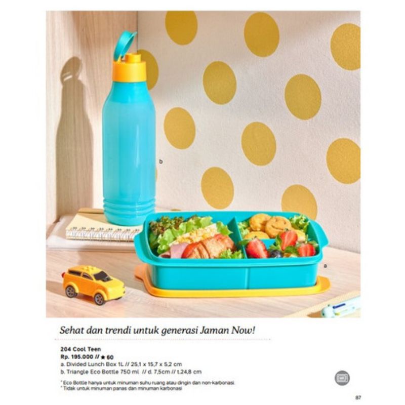 cool teen tupperware / tempat makan set