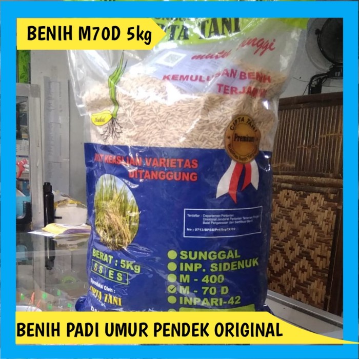 Benih Padi M70 M 70 M70D 5 kg