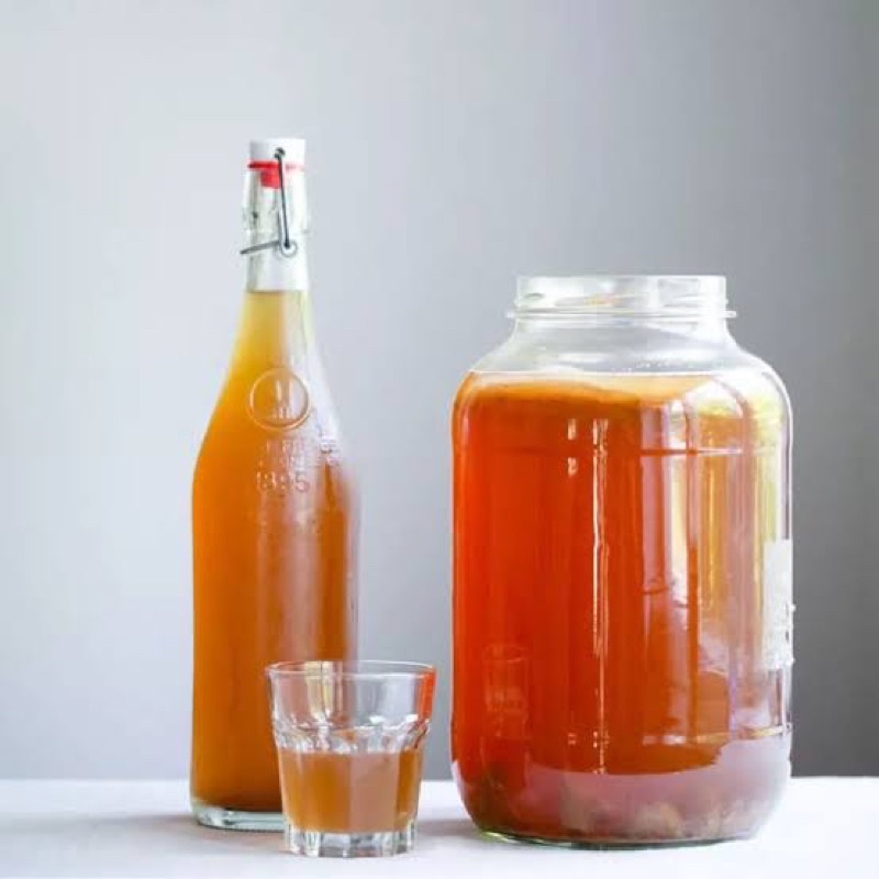 

STOK TERBATAS Starter Scoby / Starter Kombucha / Air Biang Scoby / Air Scoby / Bibit Scoby / Bibit Starter Scoby / Starter Cuka / Starter Kombucha