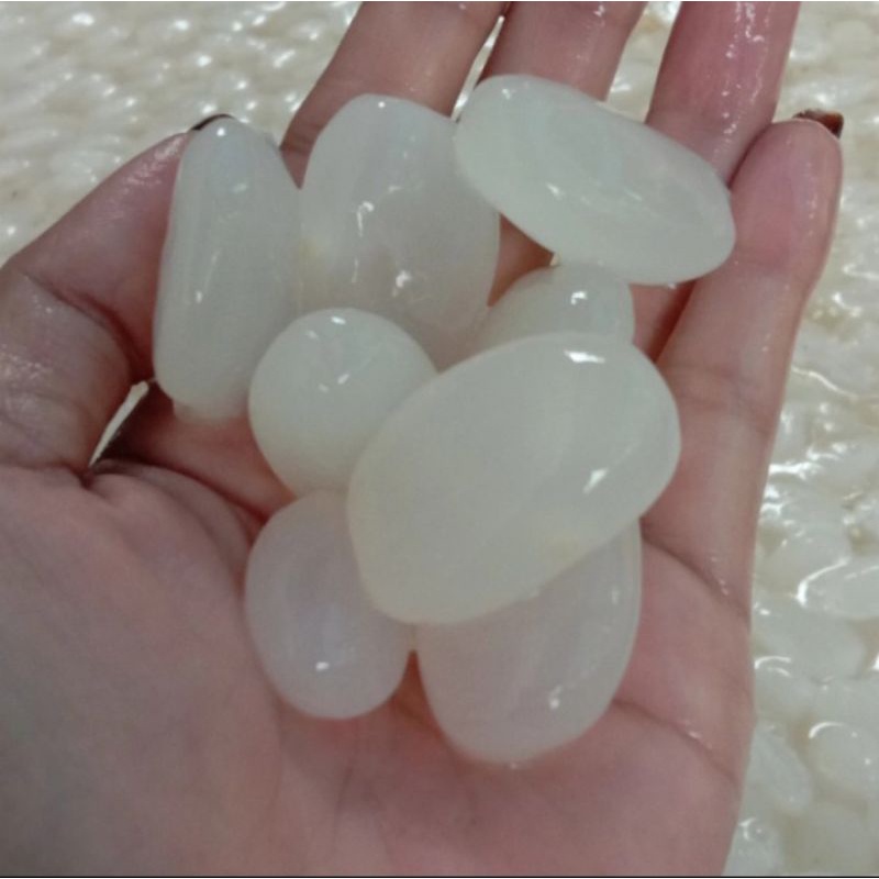 

Kolang kaling/cangkaleng 1 kg