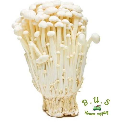 

Jamur Enoki B.U.S
