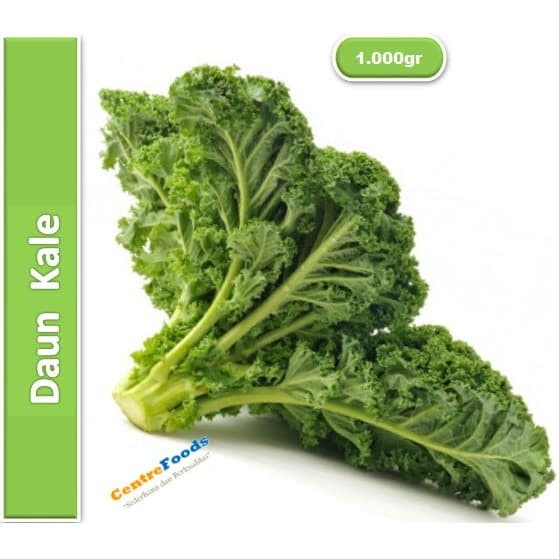 

Daun Kale Keriting - Kubis Keriting Fresh | 1.000gr [ Harga Per KG ]