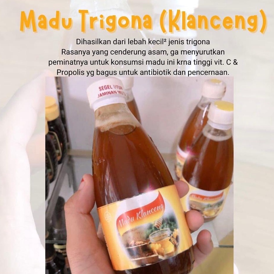 

Madu Murni Apis Trigona Klanceng