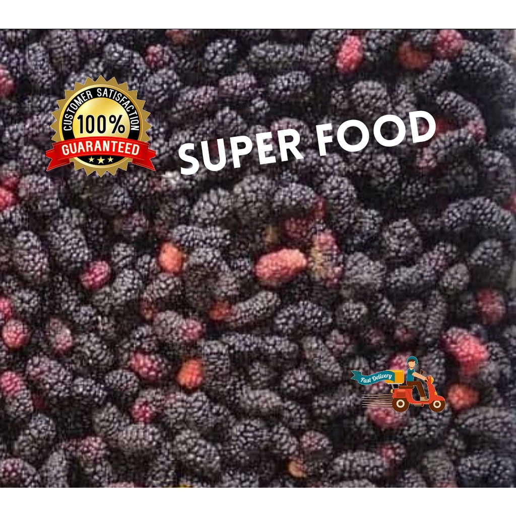 

Mulberry Frozen Beku Antioksidan Super Food 1Kg