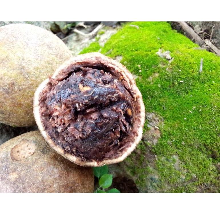 

((S-IBY_♥☞)) buah kawis 1kg ( isi 2-4 buah)-super keren