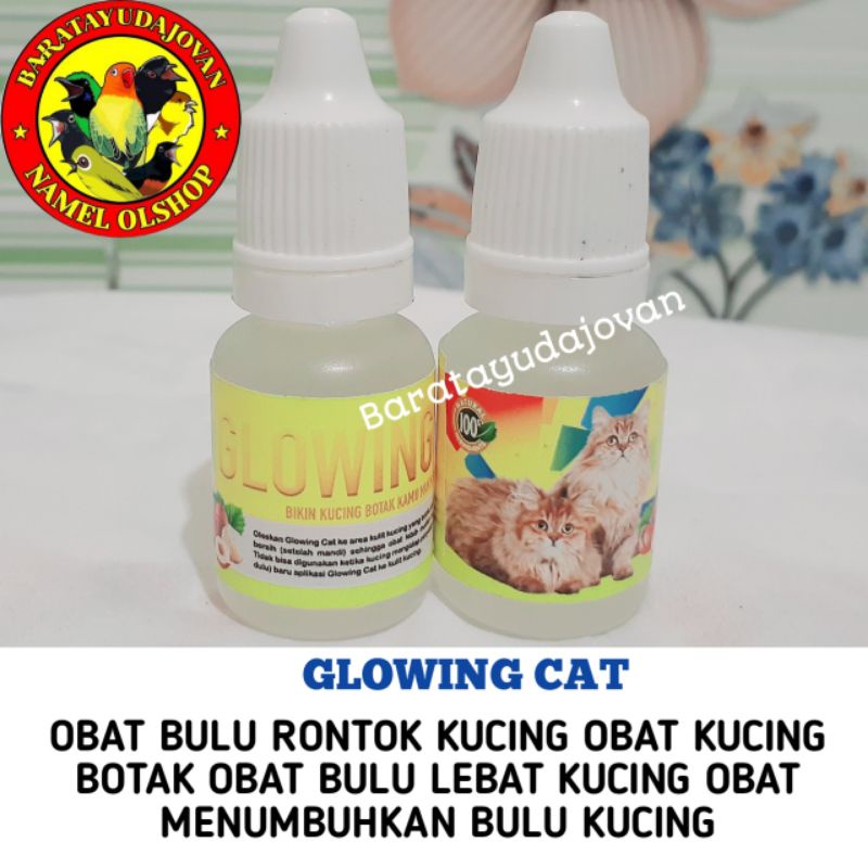 OBAT BULU RONTOK GLOWING CAT OBAT KUCING BOTAK OBAT BULU LEBAT KUCING OBAT MENUMBUHKAN BULU KUCING
